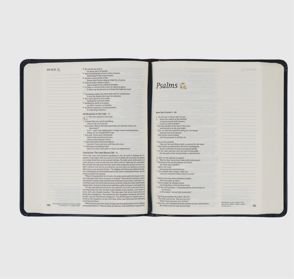 NIt Notetaking Bible :
Versailles Theme