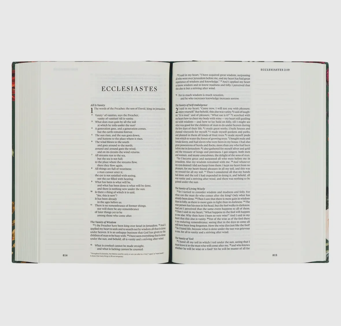 Esv Large Print Journaling Bible