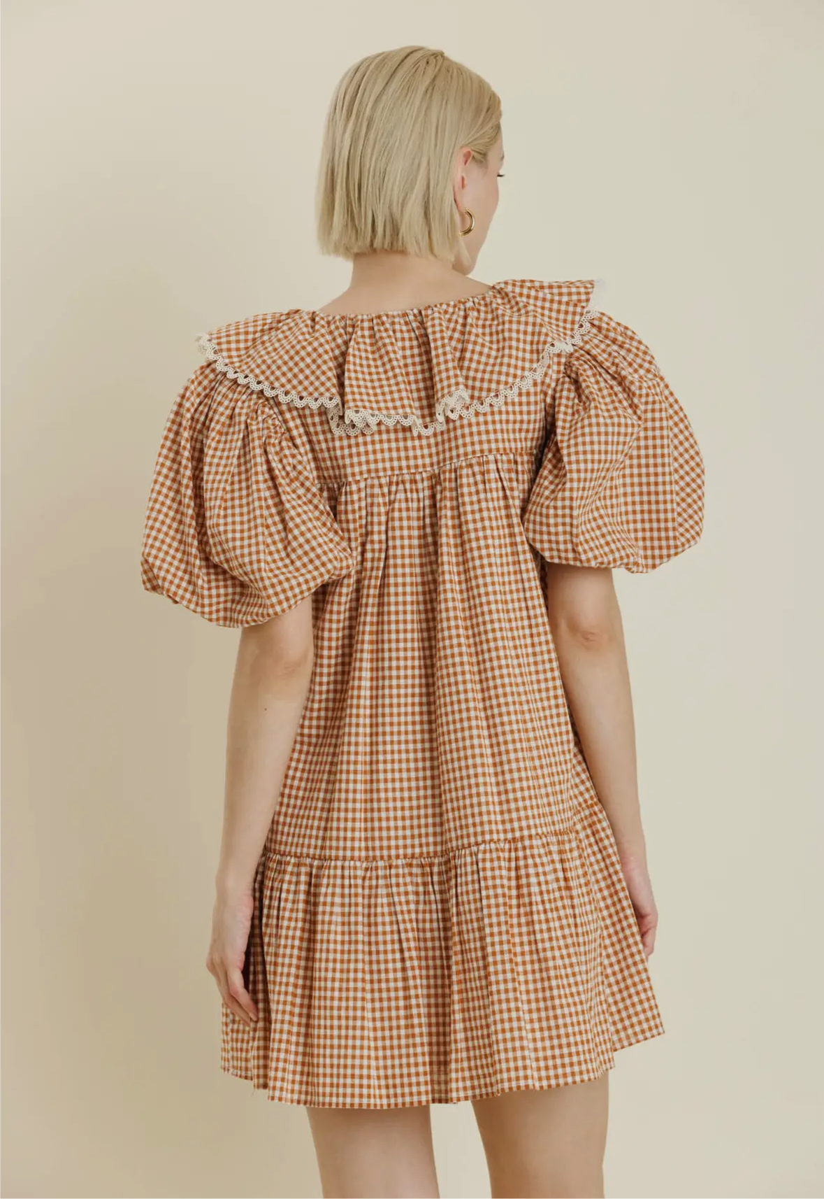 Gingham & Spice Dress
