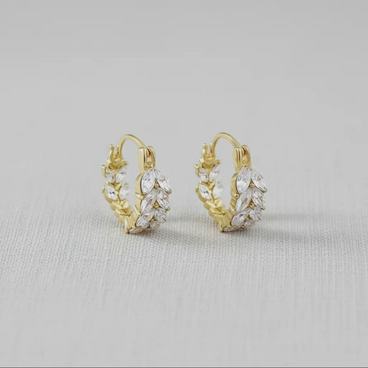 Sparkling Hoop Earrings