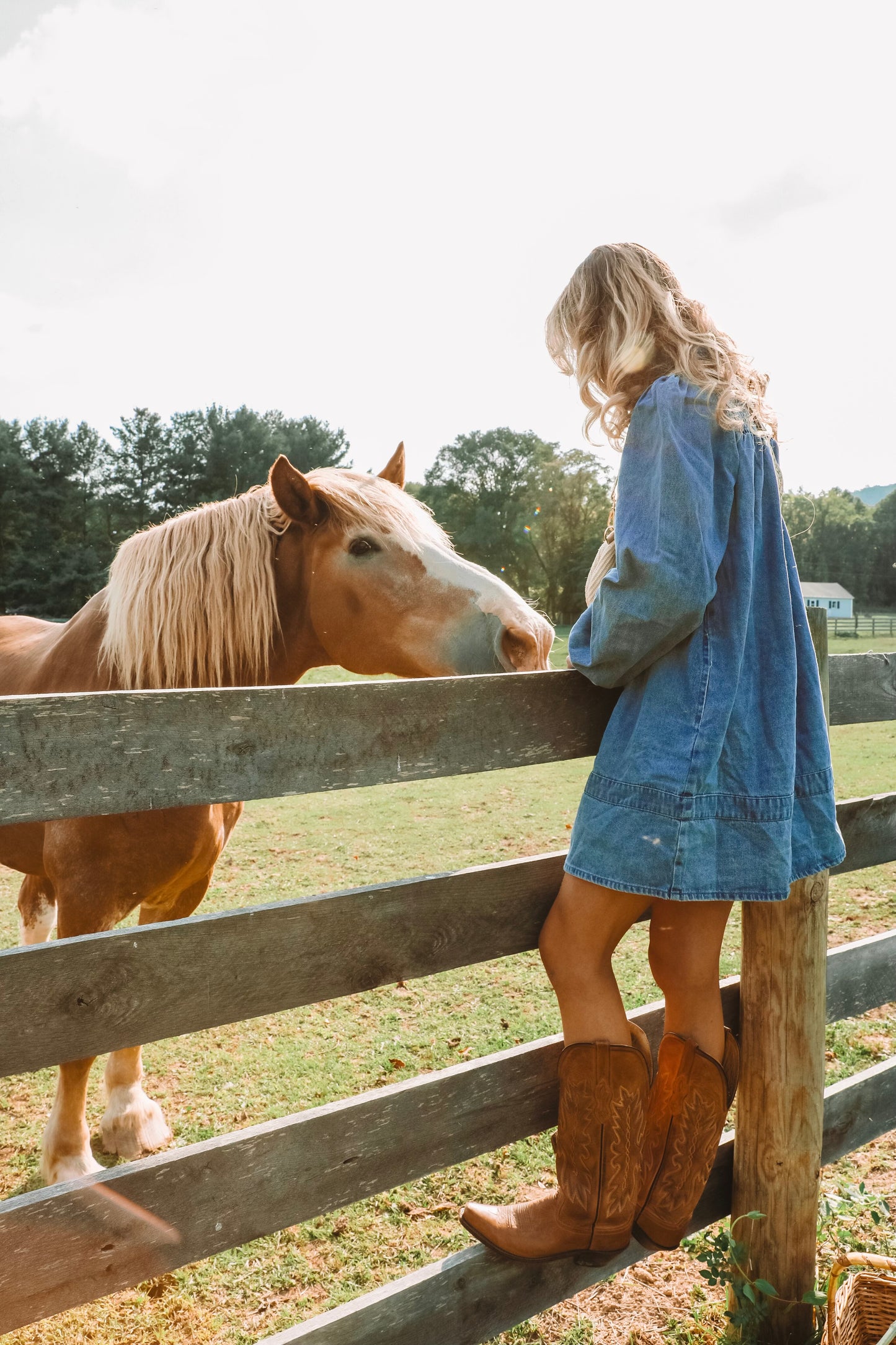 Delilah Denim Dress