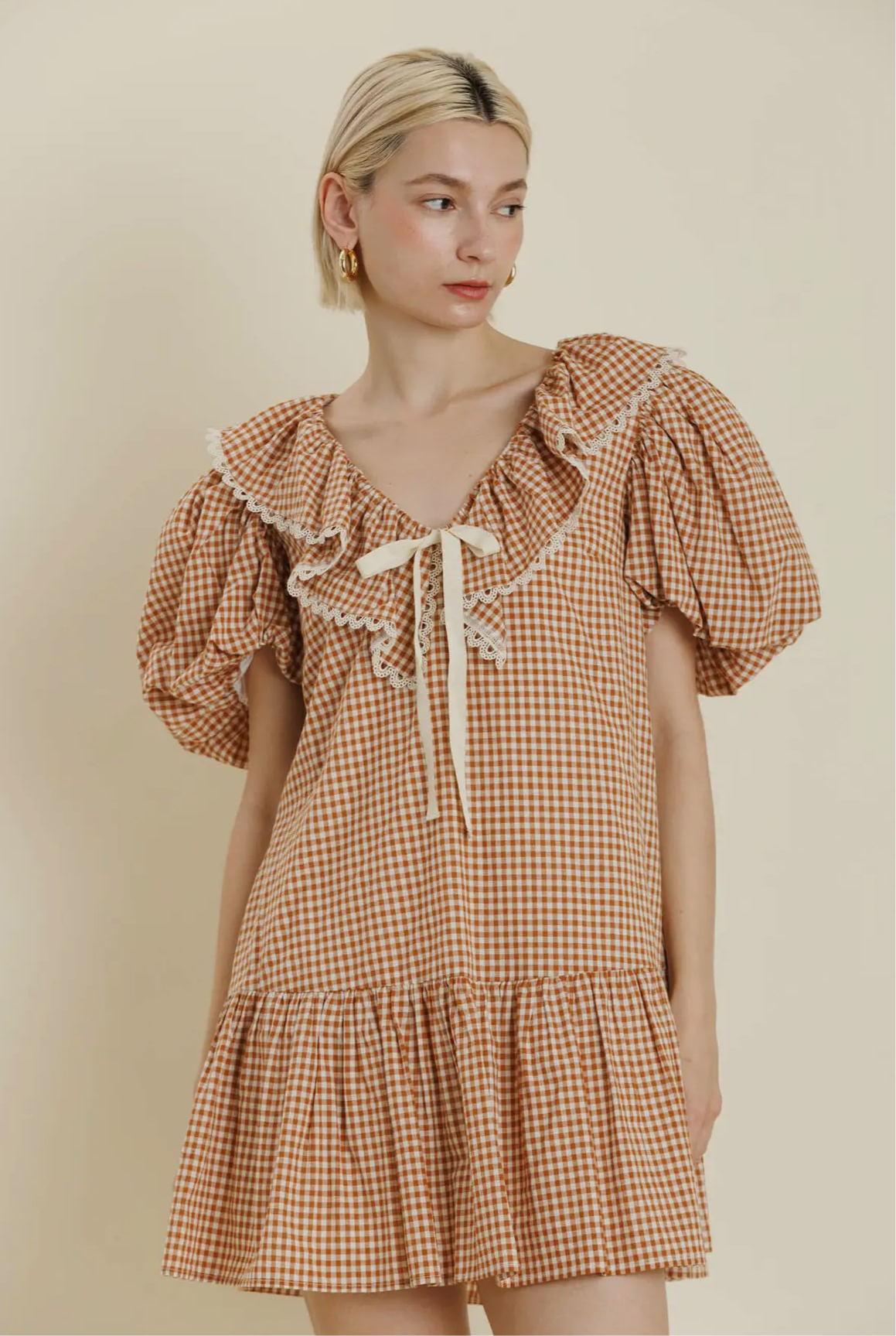 Gingham & Spice Dress