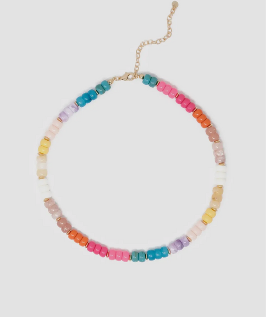 Multi-Color Beaded Necklace